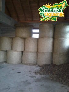 Okrogle bale sena