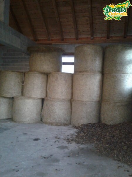 Okrogle bale sena