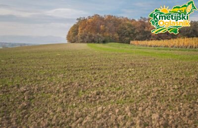 Kmetijsko zemljišče 2,5 ha