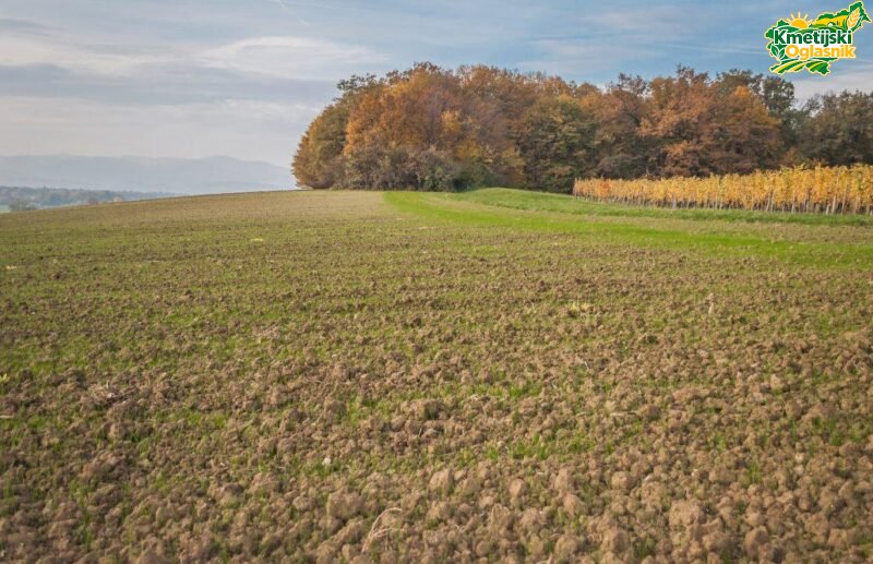 Kmetijsko zemljišče 2,5 ha
