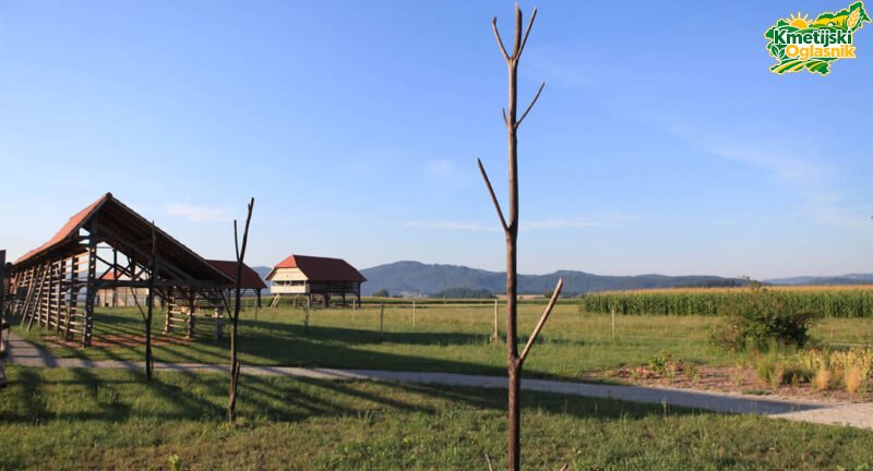 Zemljišče 5 ha